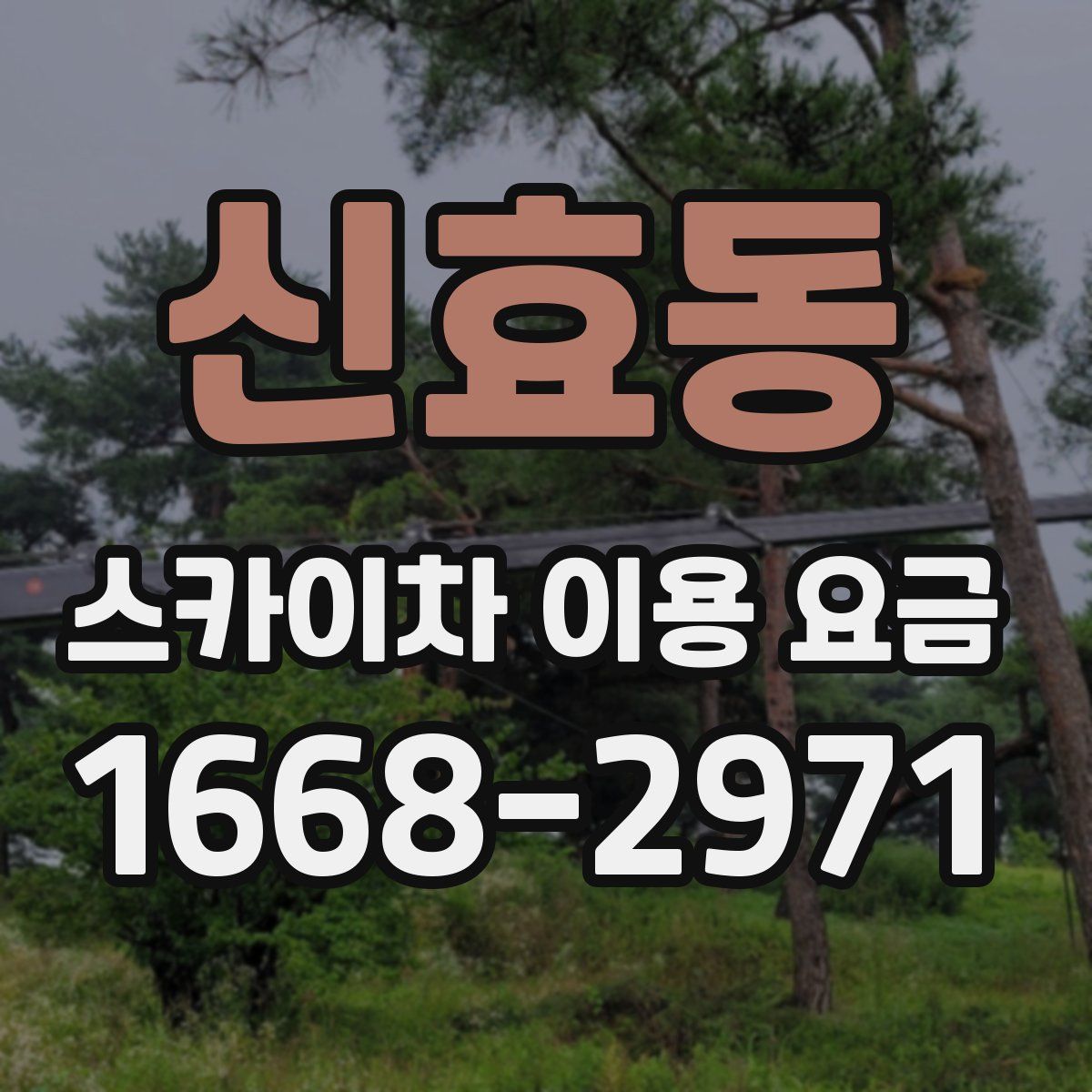 신효동 스카이차 이용 요금