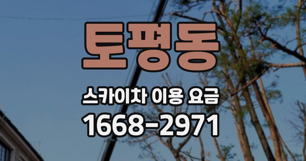 토평동 스카이차 이용 요금