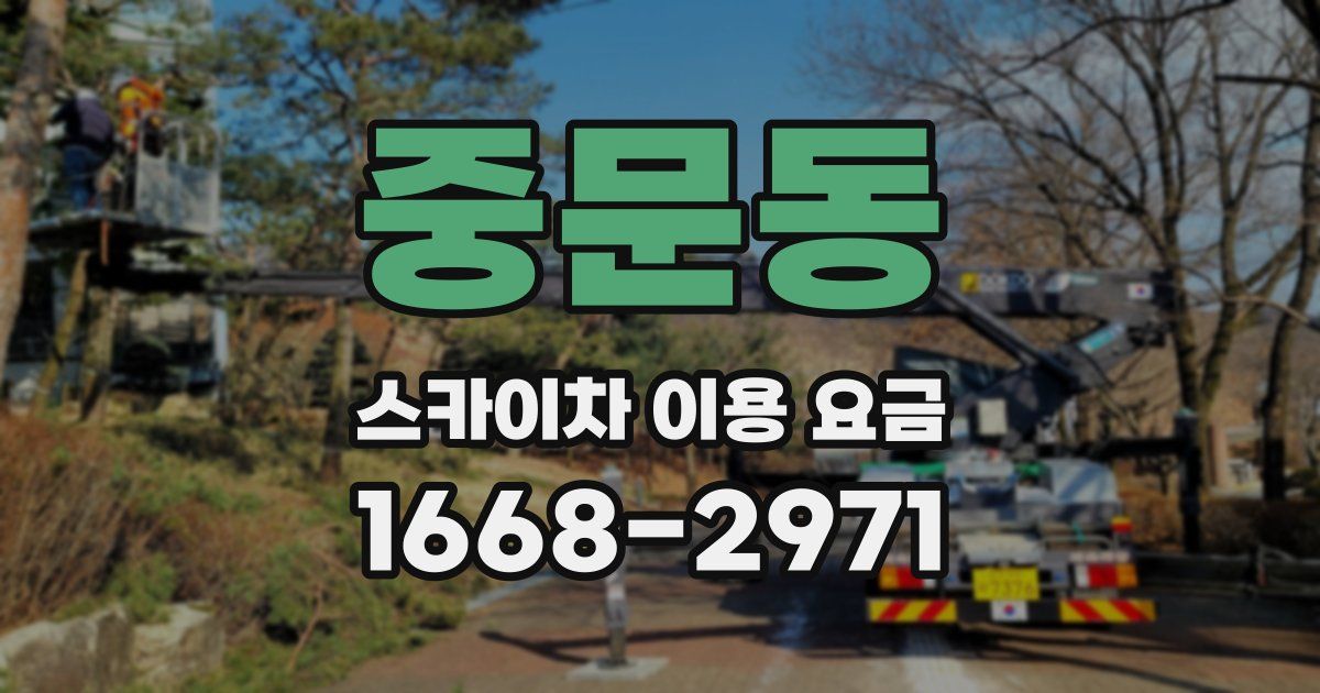 중문동 스카이차 이용 요금