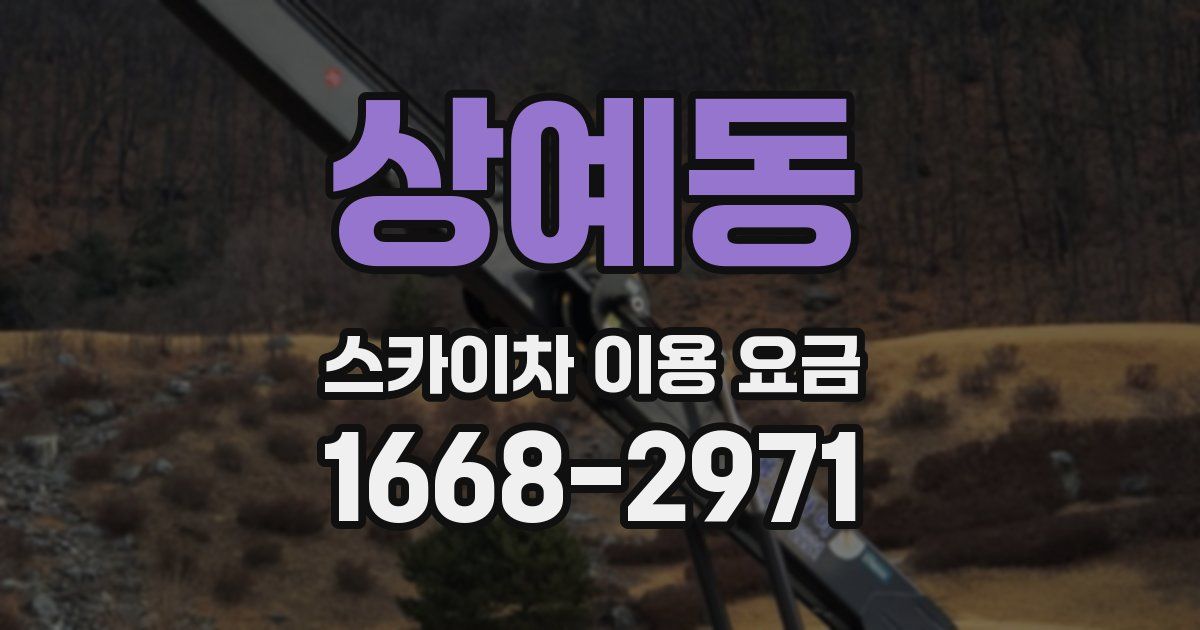 상예동 스카이차 이용 요금