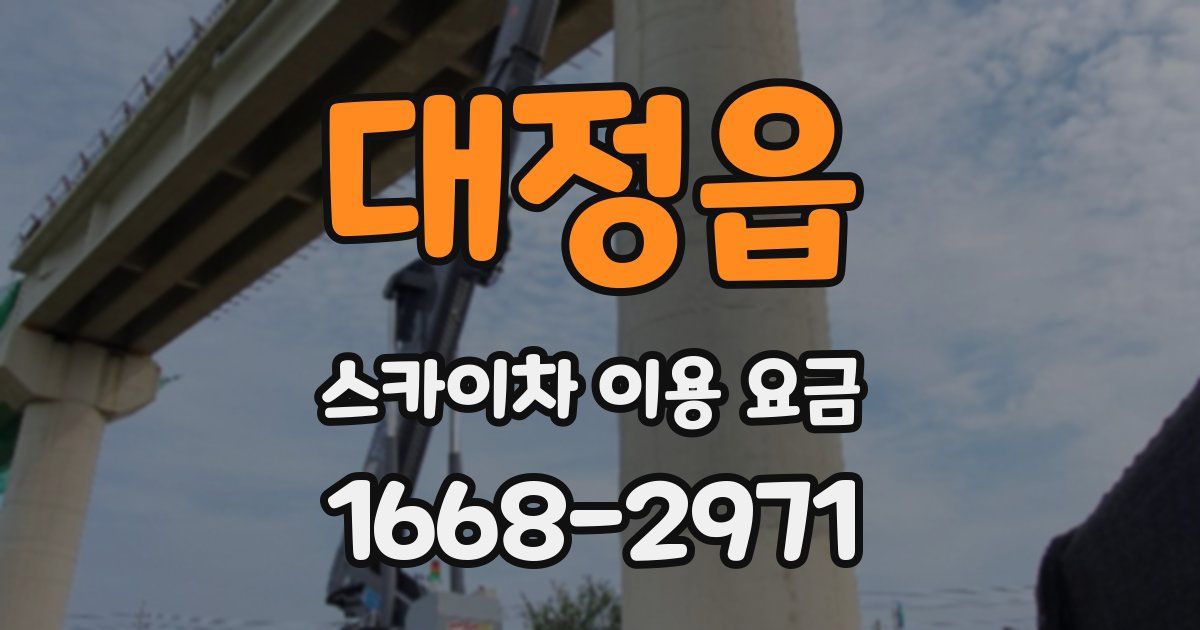 대정읍 스카이차 이용 요금