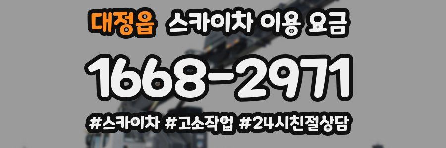 대정읍 스카이차 이용 요금