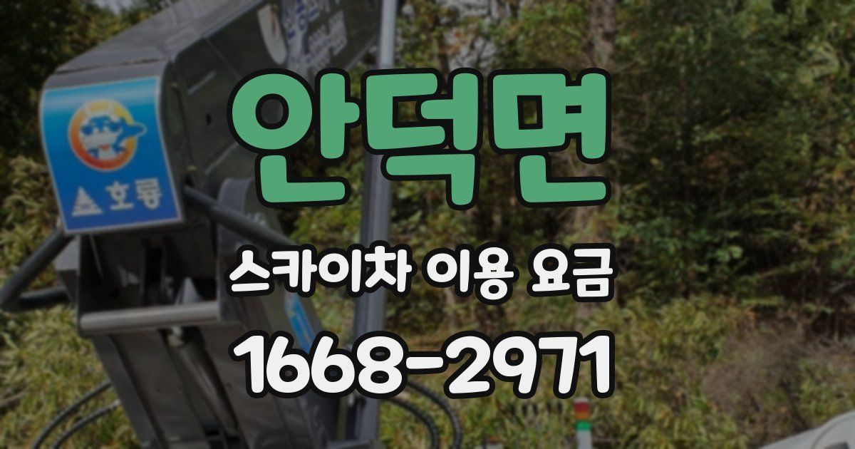 안덕면 스카이차 이용 요금