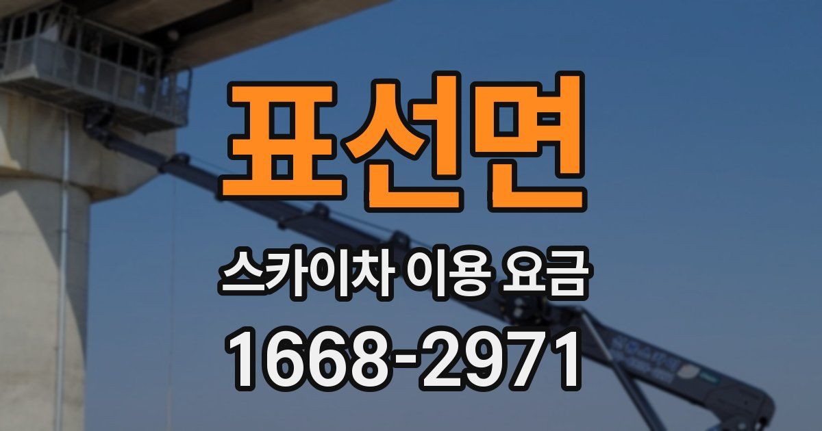 표선면 스카이차 이용 요금