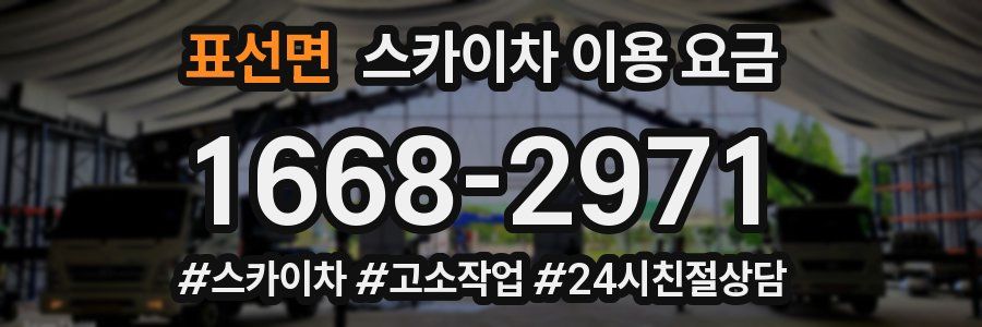 표선면 스카이차 이용 요금