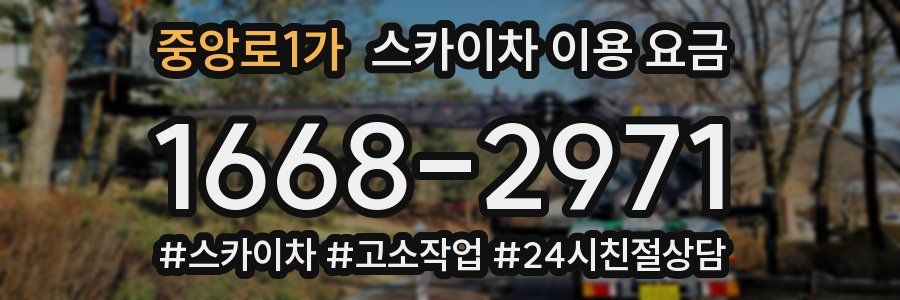 중앙로1가 스카이차 이용 요금