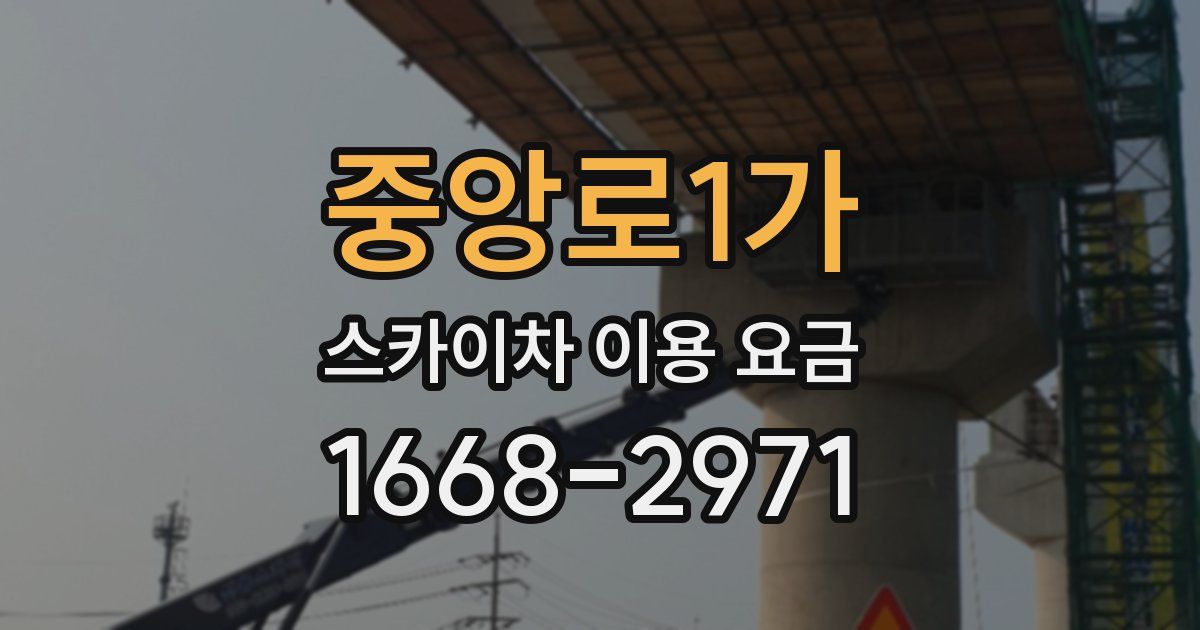 중앙로1가 스카이차 이용 요금