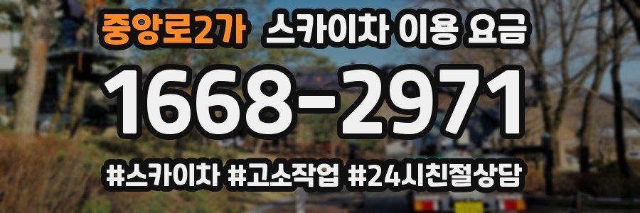 중앙로2가 스카이차 이용 요금