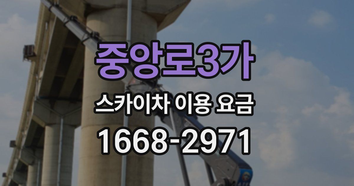 중앙로3가 스카이차 이용 요금