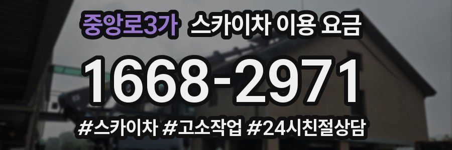 중앙로3가 스카이차 이용 요금