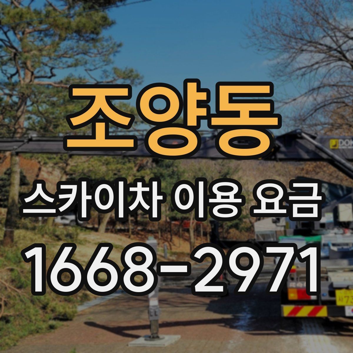 조양동 스카이차 이용 요금 문의 시 꼭 필요한 정보 목록