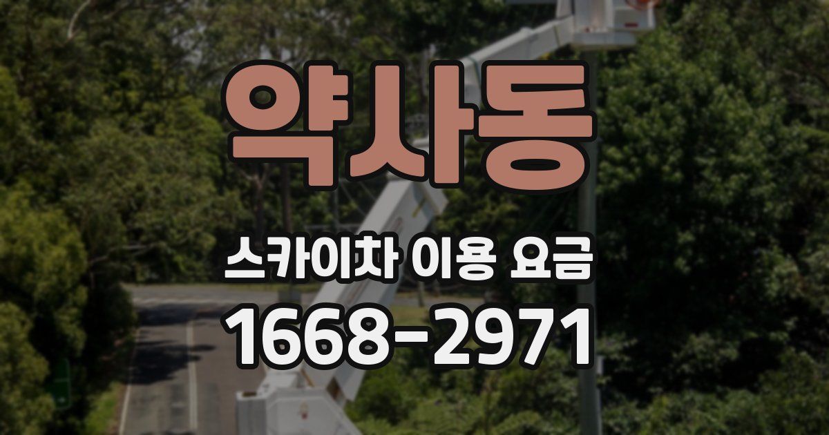 약사동 스카이차 이용 요금