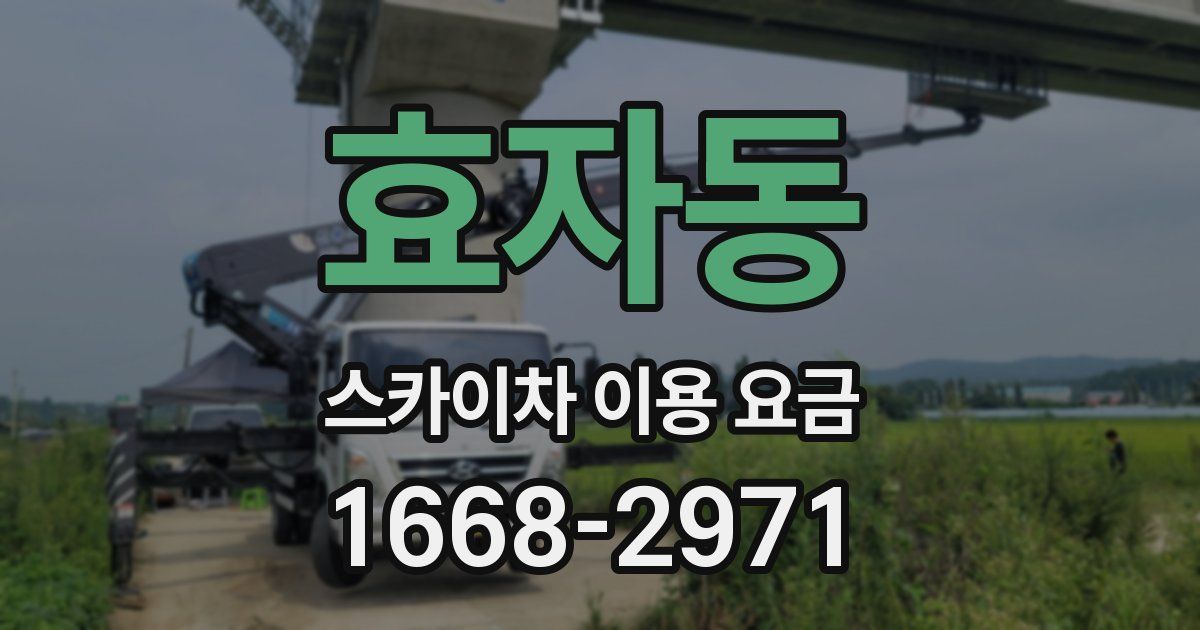 효자동 스카이차 이용 요금