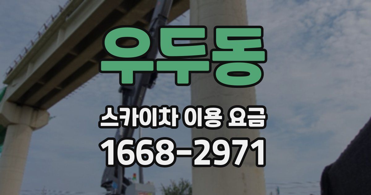 우두동 스카이차 이용 요금