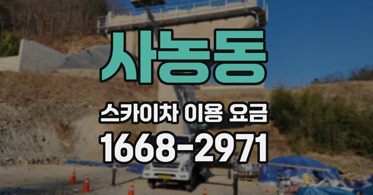 사농동 스카이차 이용 요금