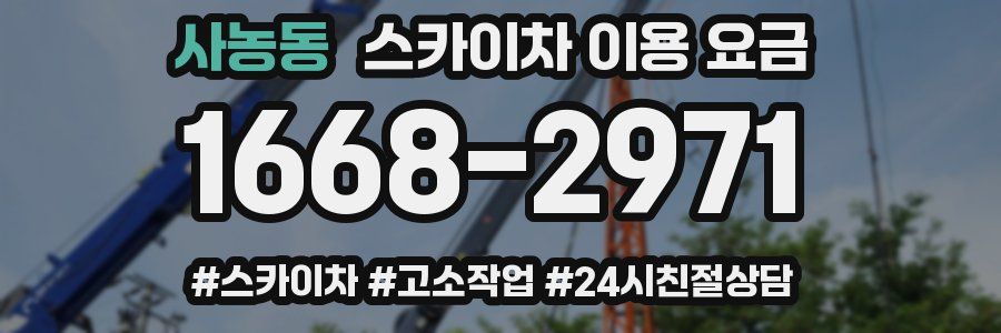 사농동 스카이차 이용 요금