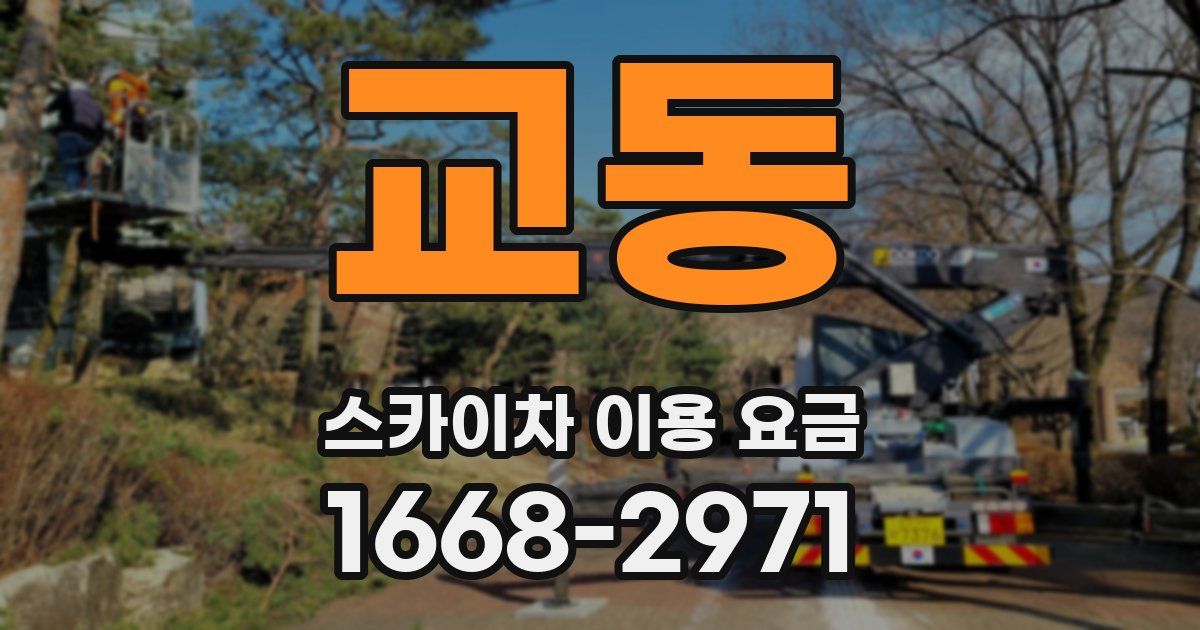 교동 스카이차 이용 요금