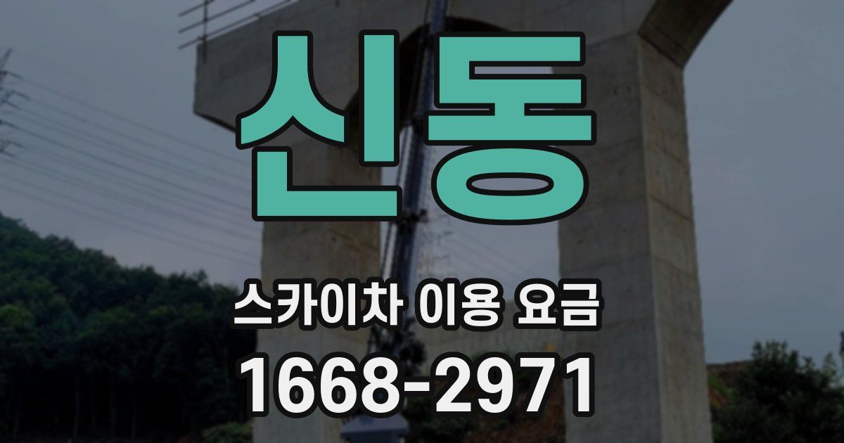 신동 스카이차 이용 요금