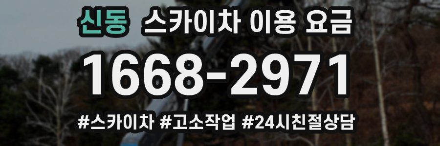 신동 스카이차 이용 요금