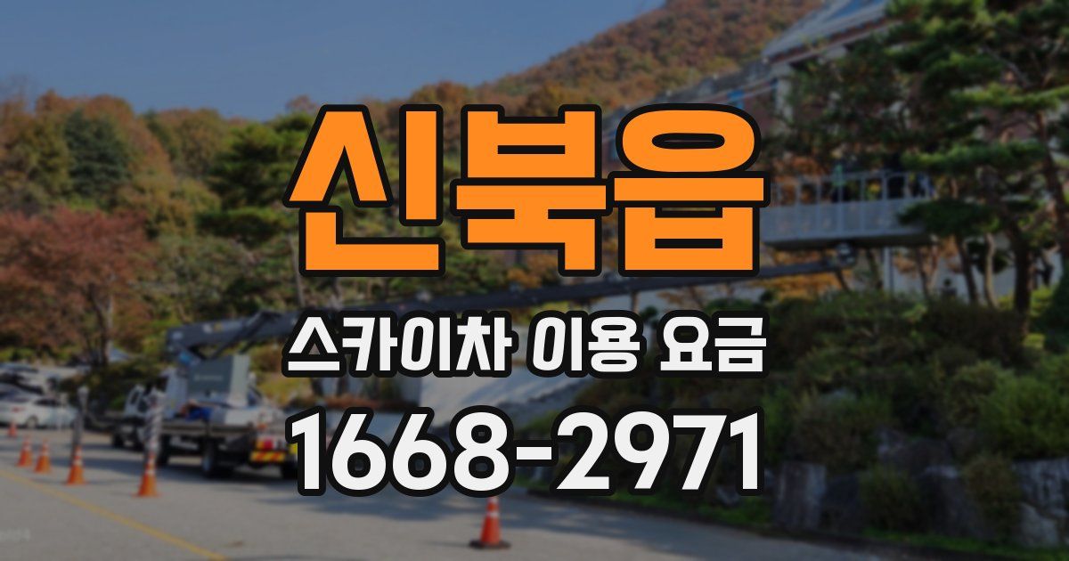 신북읍 스카이차 이용 요금