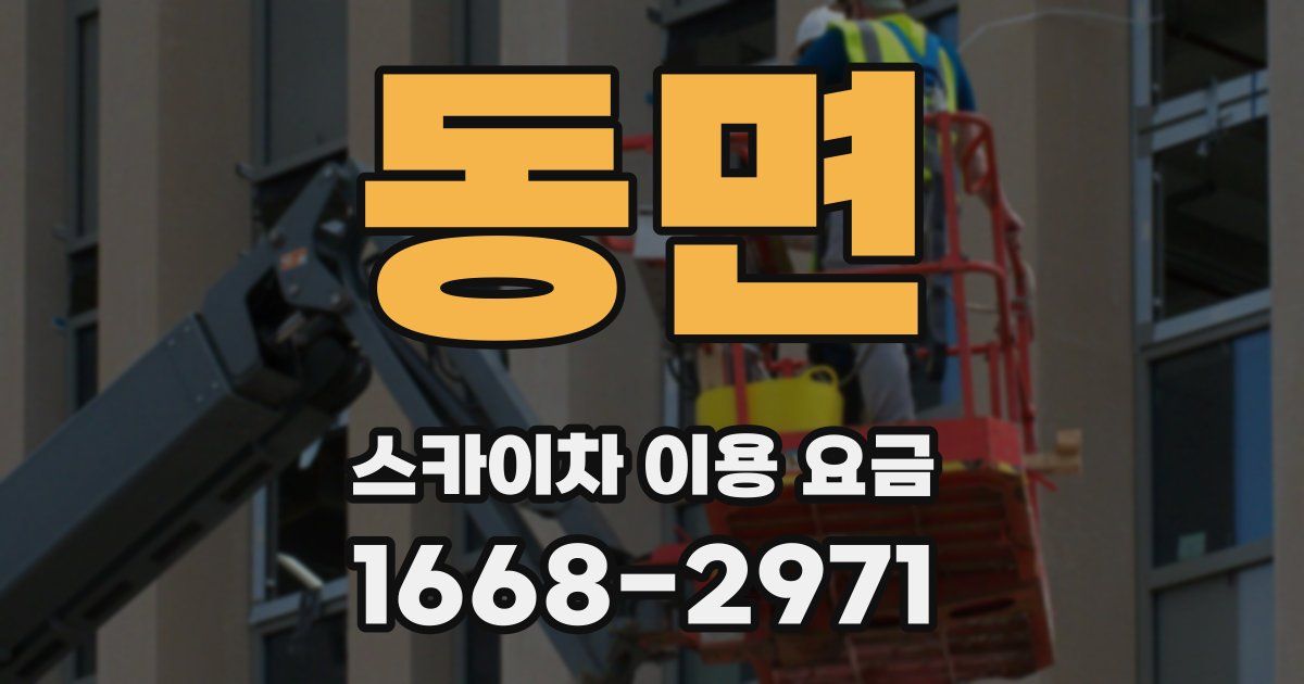 동면 스카이차 이용 요금