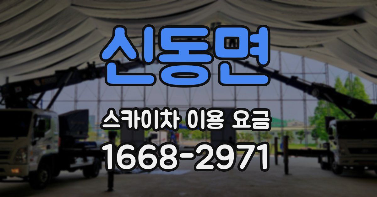 신동면 스카이차 이용 요금