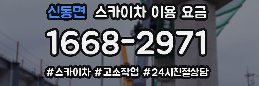 신동면 스카이차 이용 요금