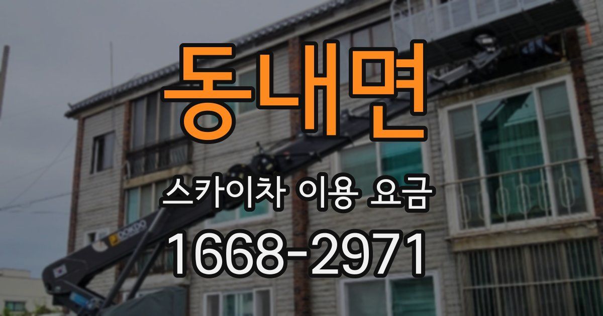 동내면 스카이차 이용 요금