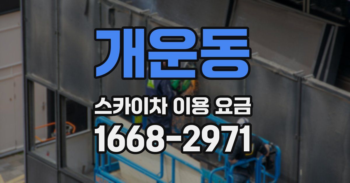 개운동 스카이차 이용 요금