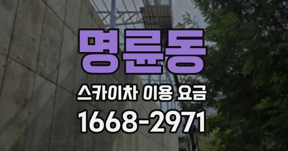 명륜동 스카이차 이용 요금