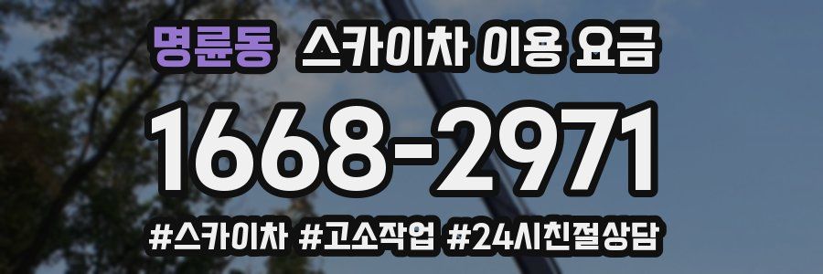 명륜동 스카이차 이용 요금