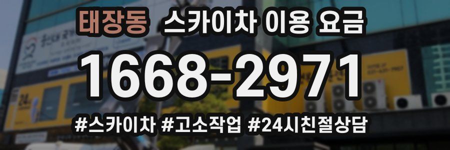 태장동 스카이차 이용 요금