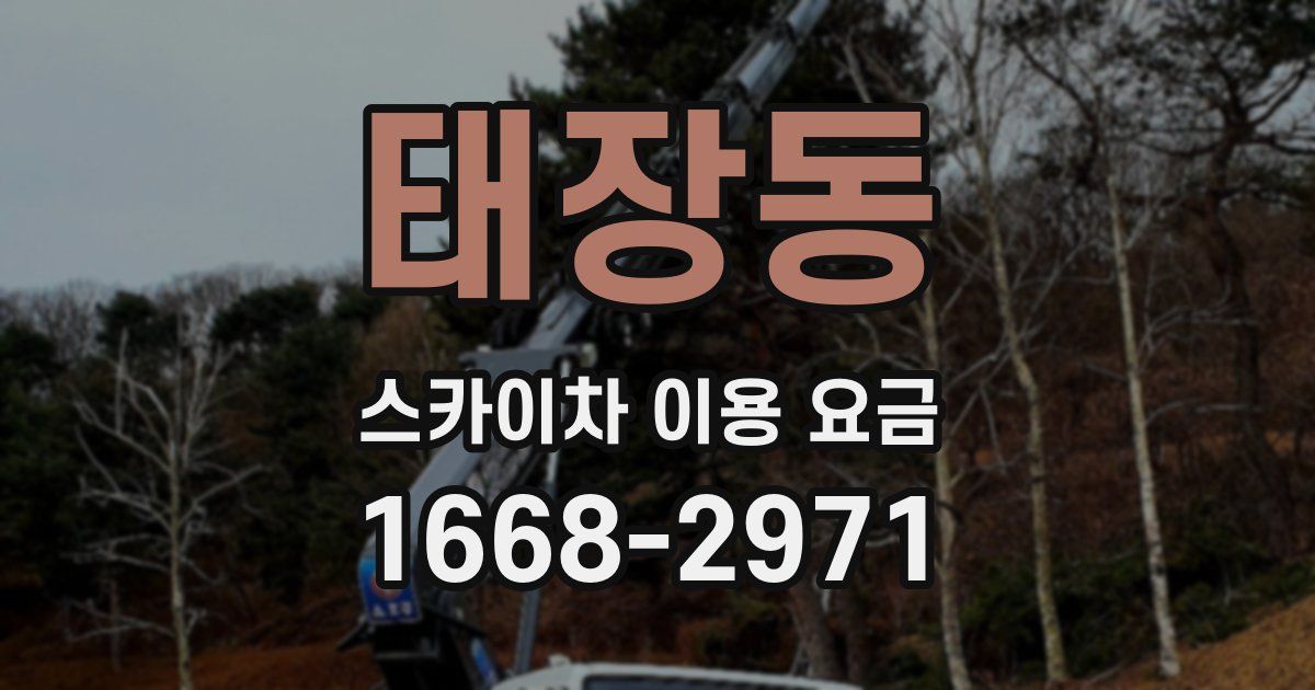 태장동 스카이차 이용 요금