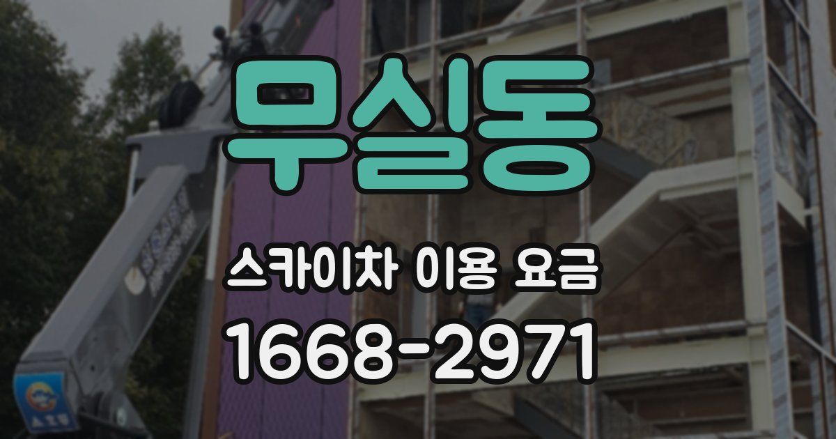 무실동 스카이차 이용 요금