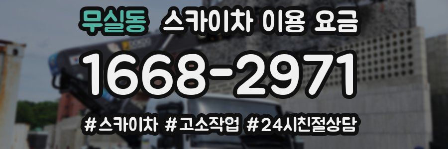 무실동 스카이차 이용 요금