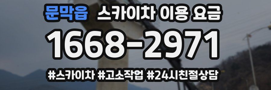 문막읍 스카이차 이용 요금