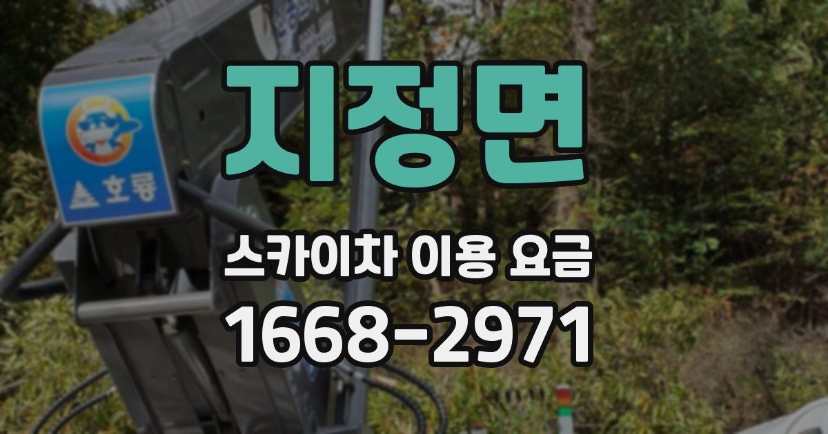 지정면 스카이차 이용 요금