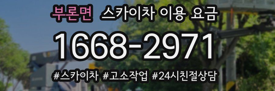부론면 스카이차 이용 요금