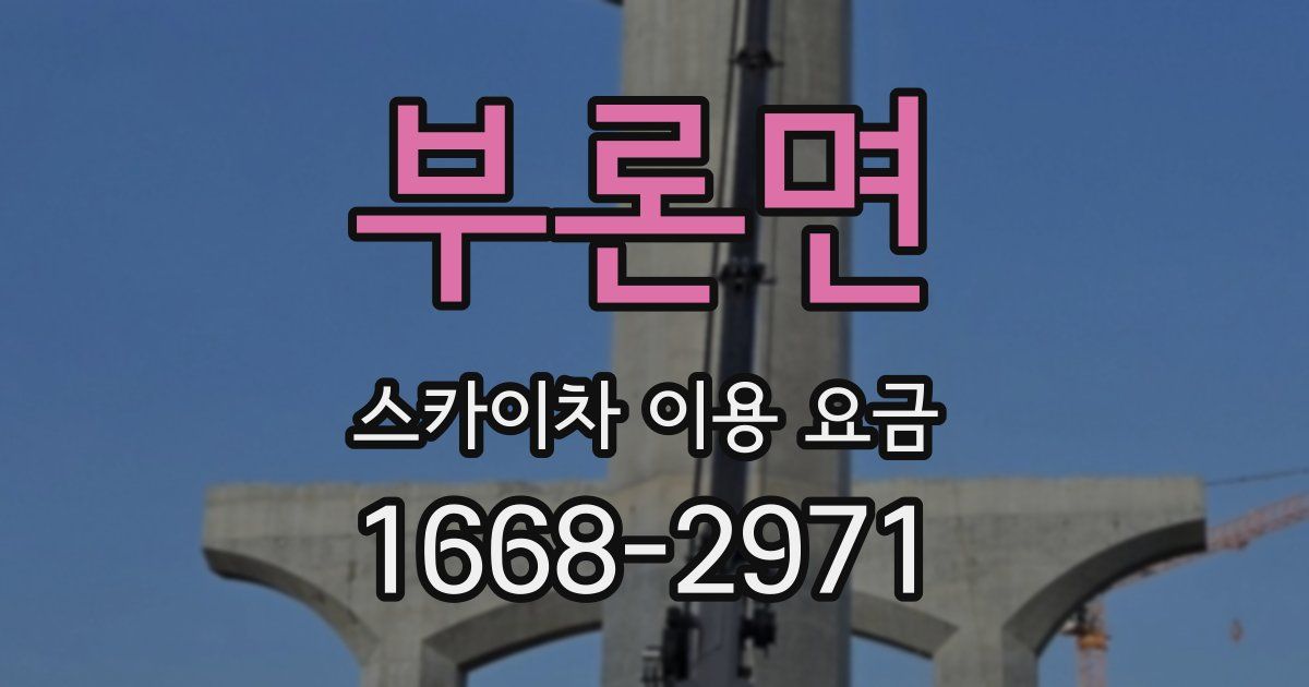 부론면 스카이차 이용 요금