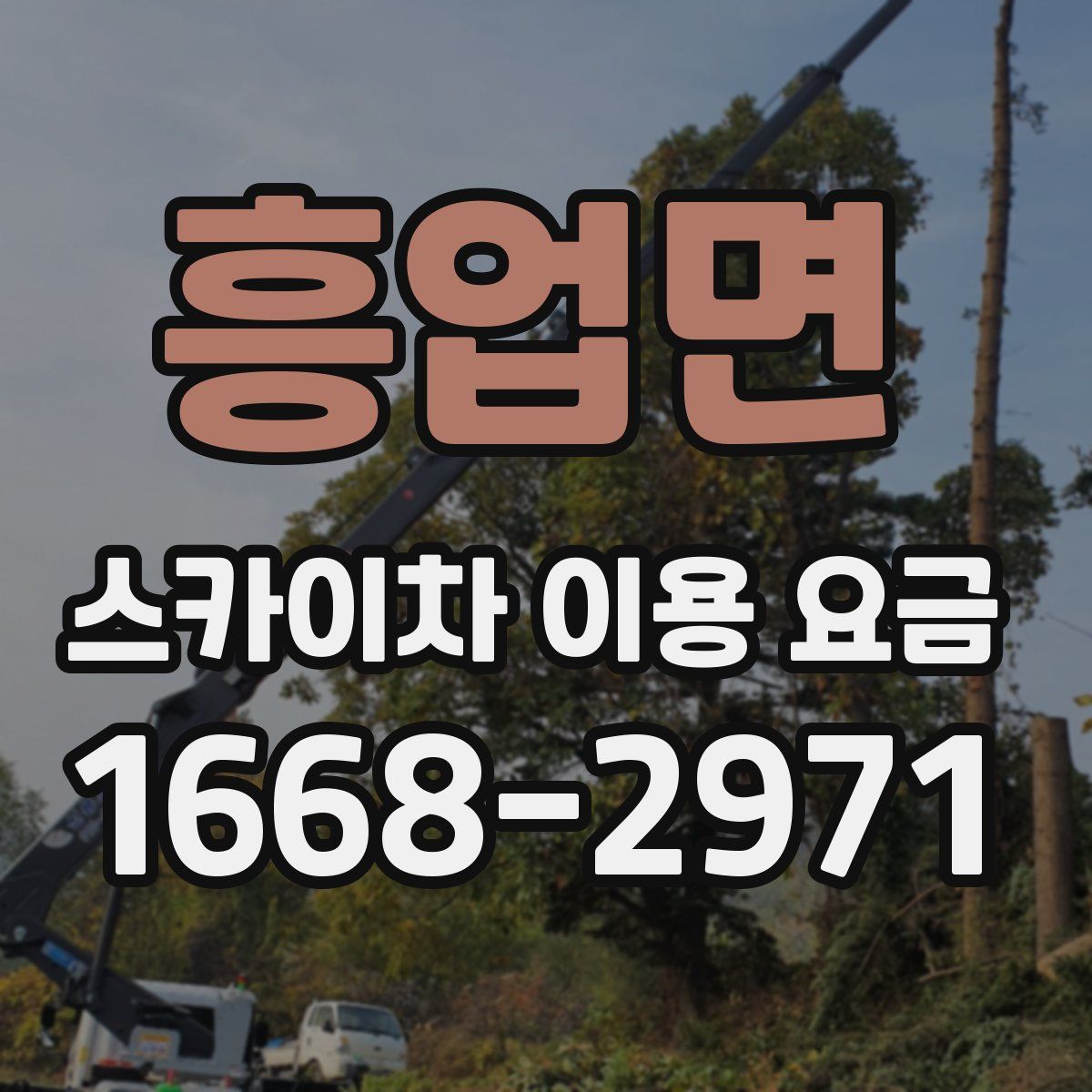 흥업면 스카이차 이용 요금