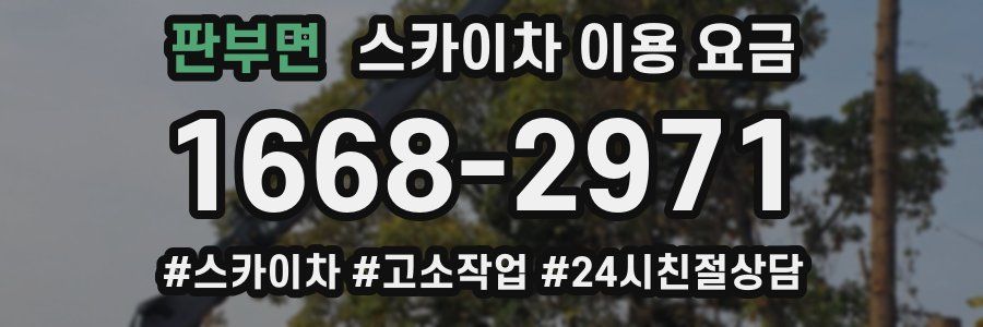 판부면 스카이차 이용 요금
