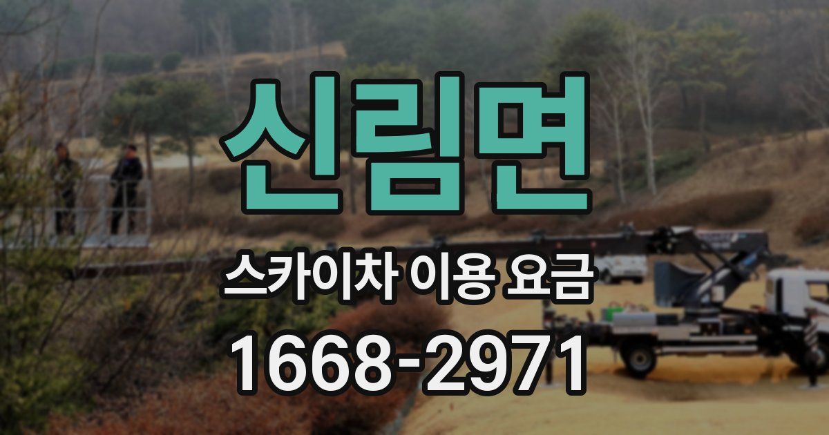 신림면 스카이차 이용 요금