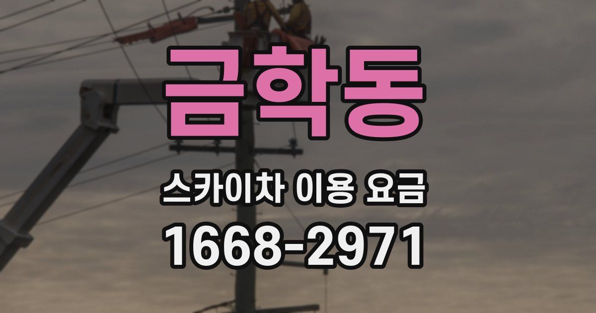 금학동 스카이차 이용 요금