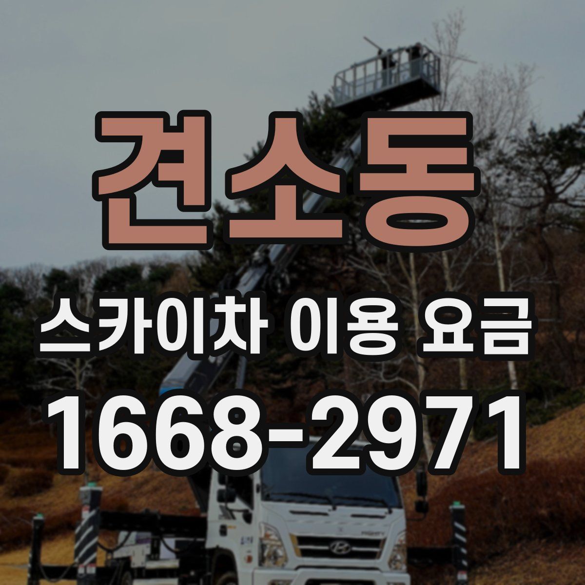 견소동 스카이차 이용 요금