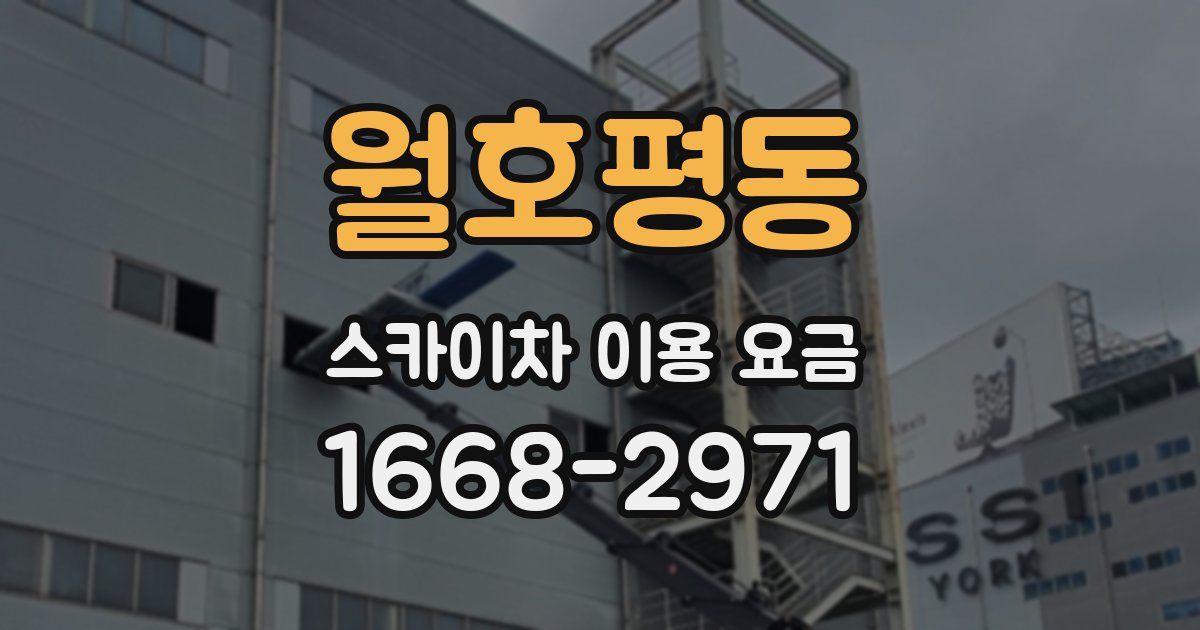 월호평동 스카이차 이용 요금