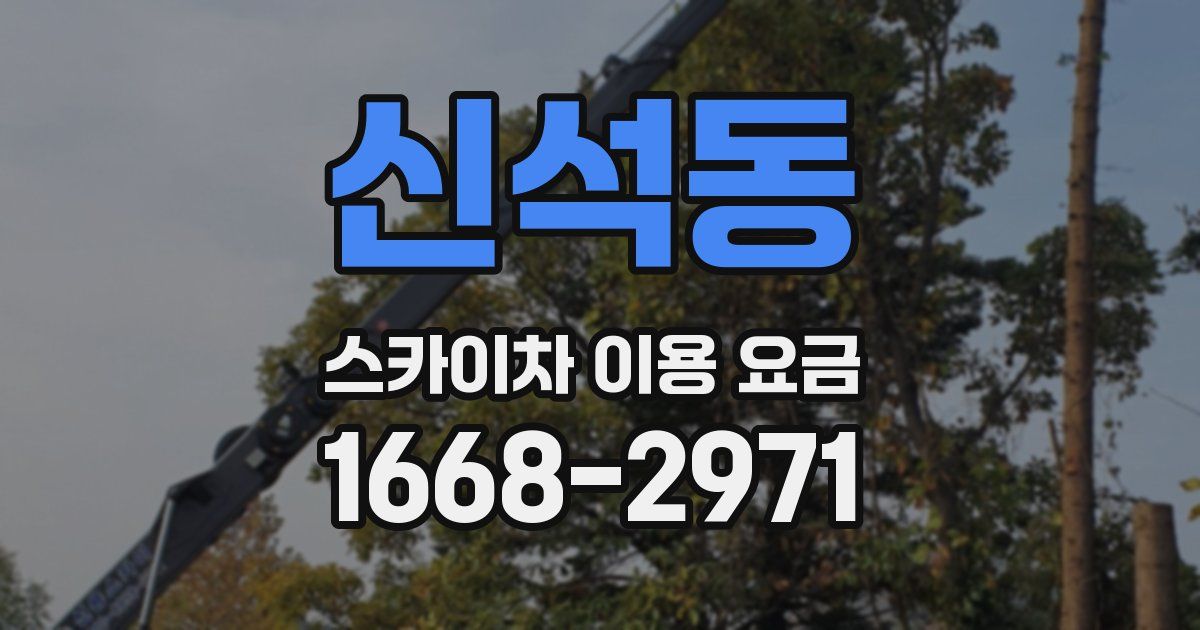 신석동 스카이차 이용 요금