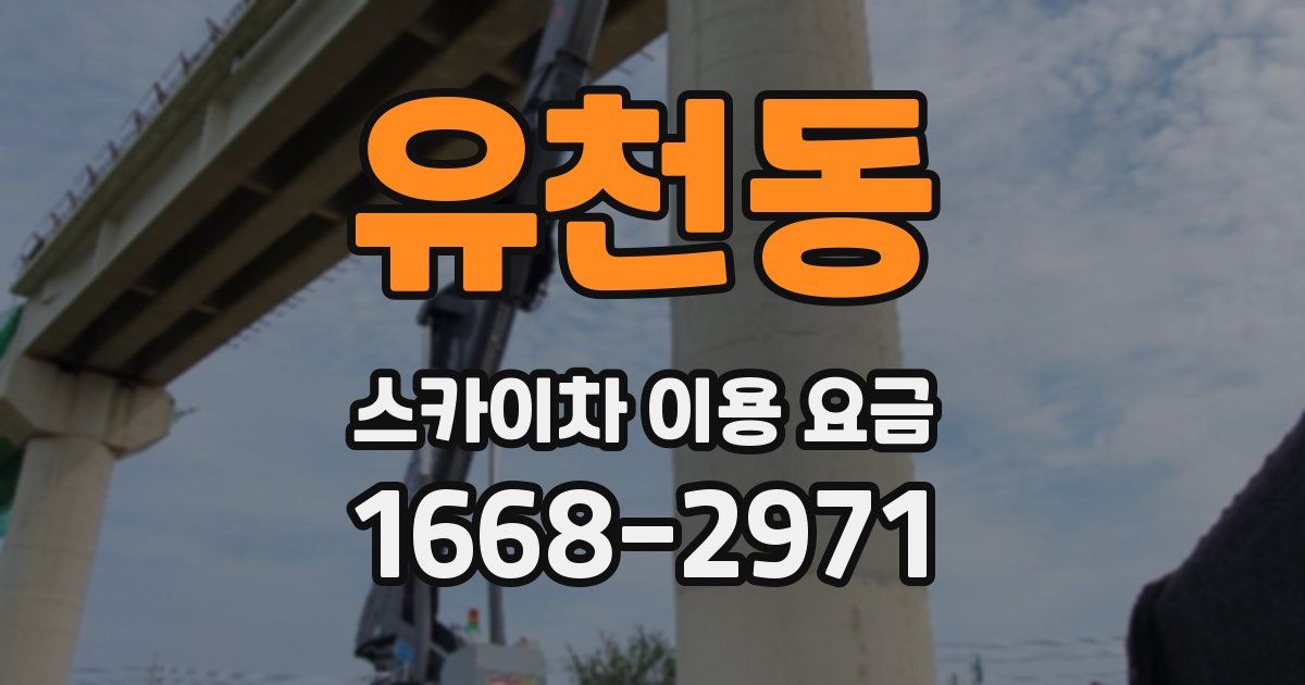 유천동 스카이차 이용 요금