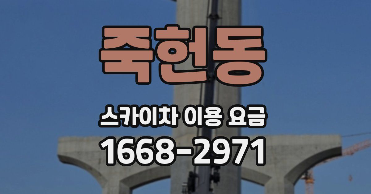 죽헌동 스카이차 이용 요금