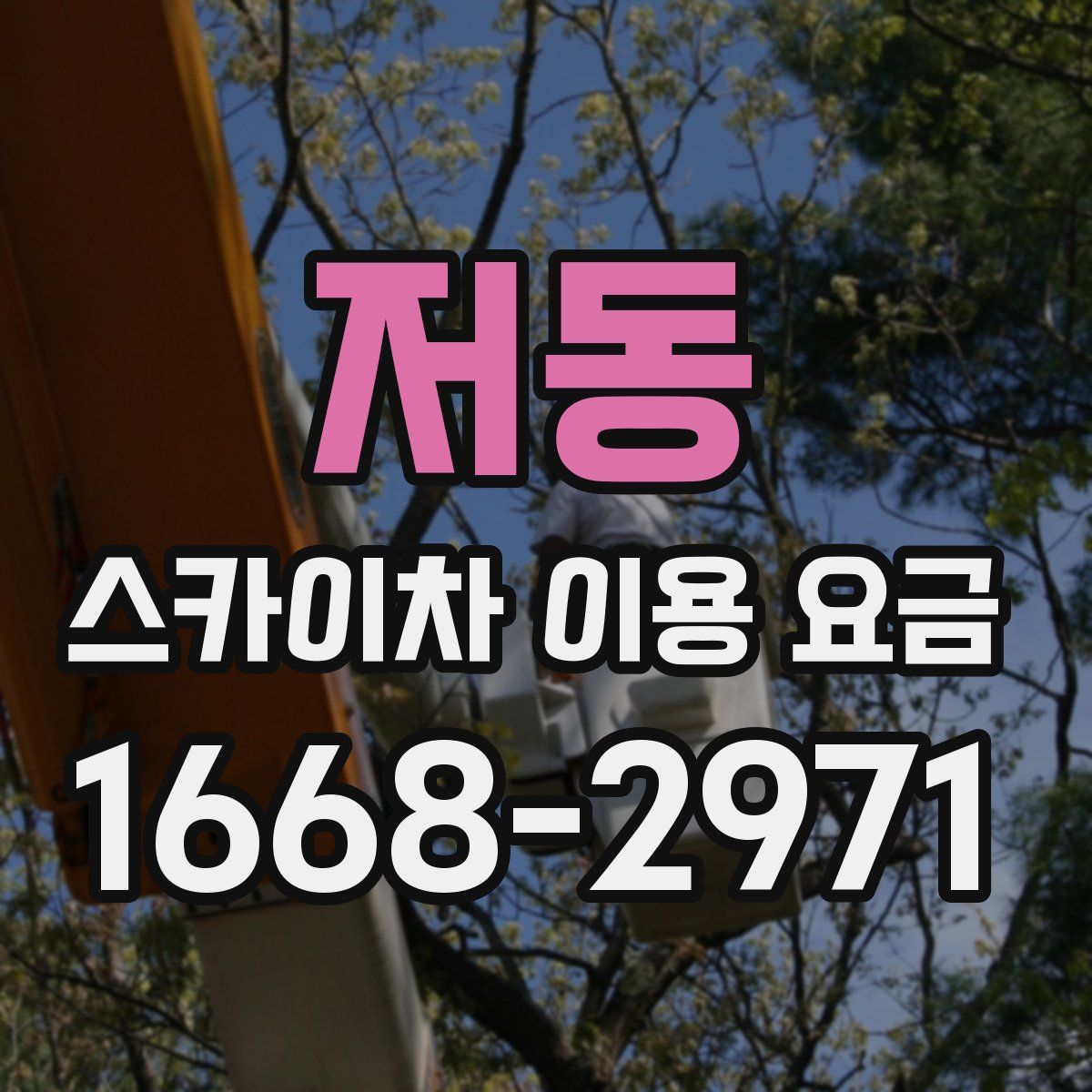 저동 스카이차 이용 요금