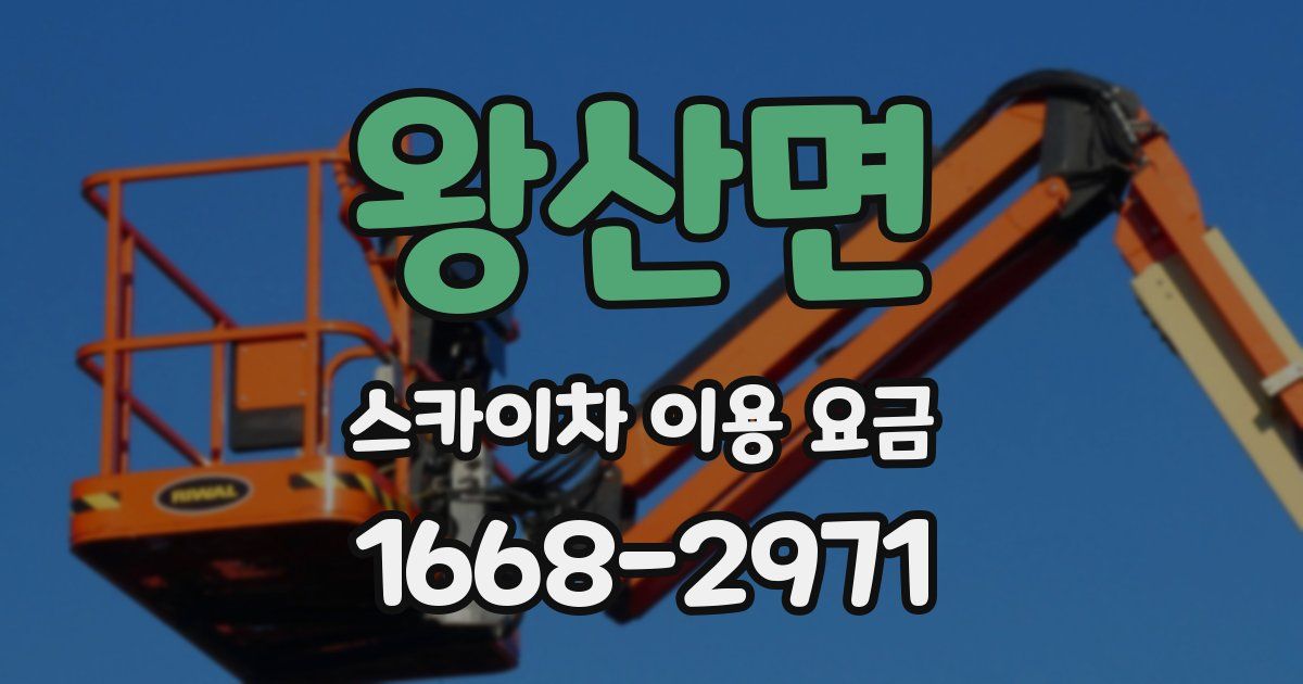 왕산면 스카이차 이용 요금